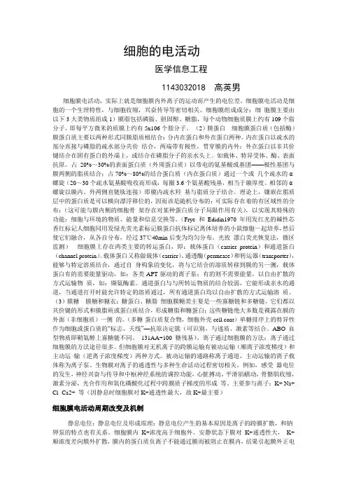 细胞的电活动