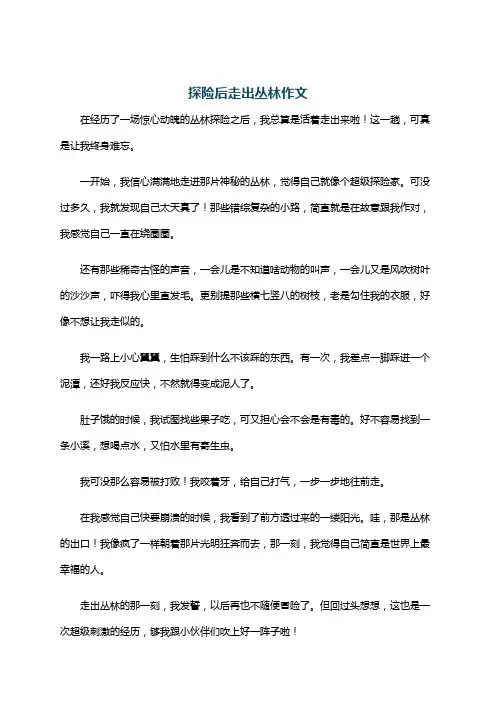 探险后走出丛林作文