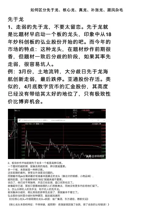 如何区分先于龙、核心龙、真龙、补涨龙、跟风杂毛