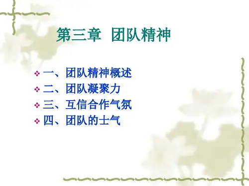 团队精神