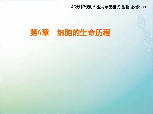高中生物必修一课件：第6章 第1节 第2课时 动植物细胞有丝分裂与观察根尖分生组织细胞的有丝分裂