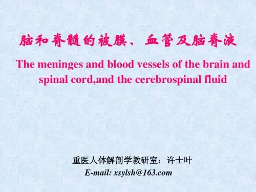 4脑和脊髓的被膜、血管、脑脊液及其循环