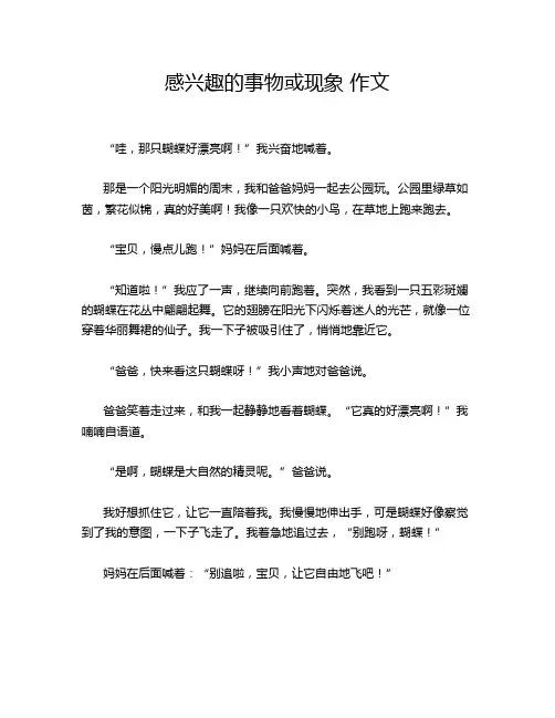 感兴趣的事物或现象 作文
