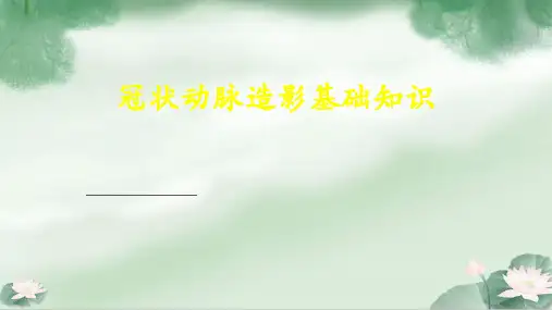 冠脉造影基础