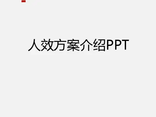 人效方案介绍PPT