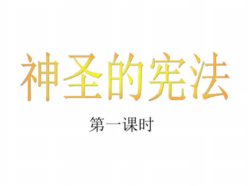 九年级政治神圣的宪法2