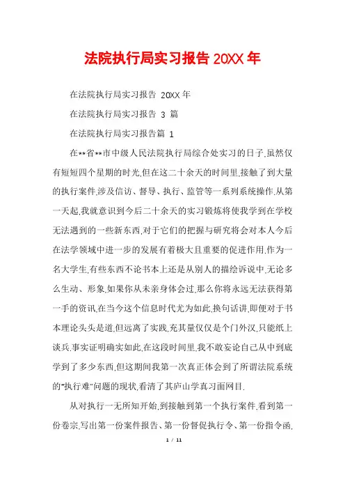 法院执行局实习报告20XX年