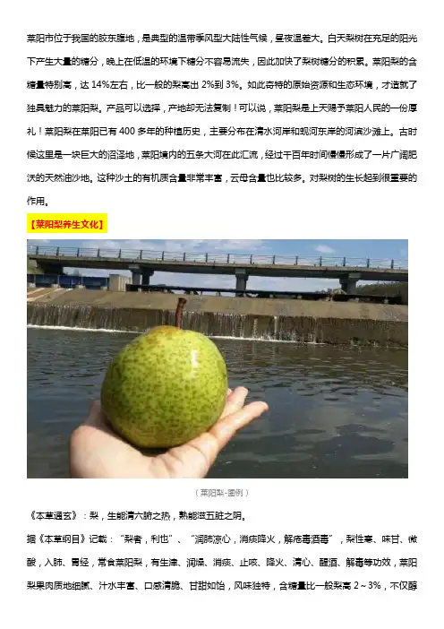 关于山东莱阳梨文化
