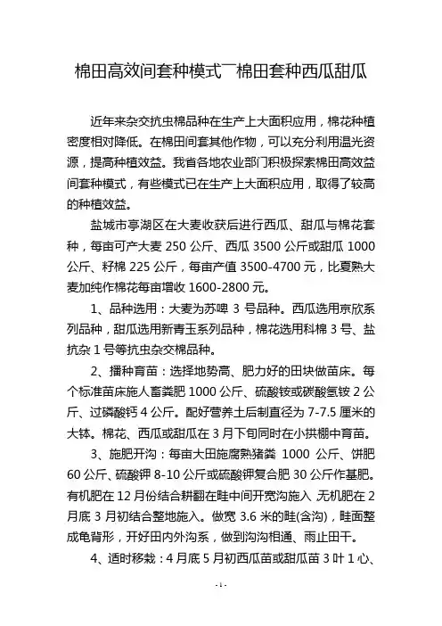 棉田高效间套种模式――棉田套种西瓜甜瓜
