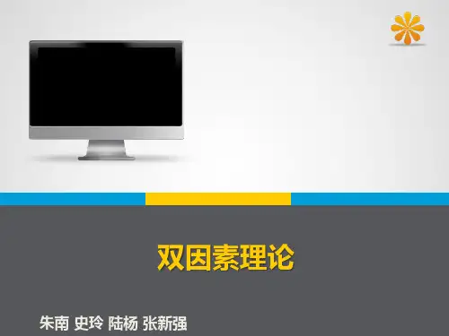 IT项目管理案例展示——双因素理论