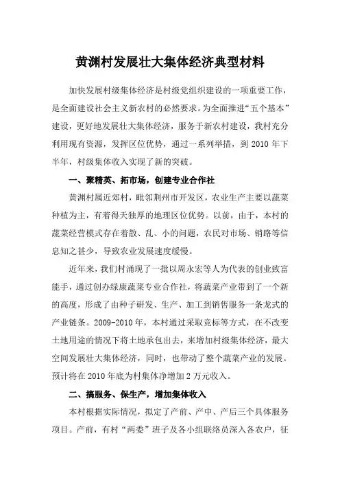 黄渊村发展壮大集体经济典型材料