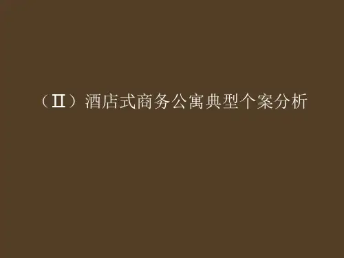深圳金中环整合推广(中)
