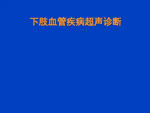 下肢血管疾病超声诊断 PPT课件 