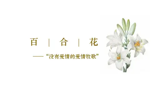 《百合花》ppt课件