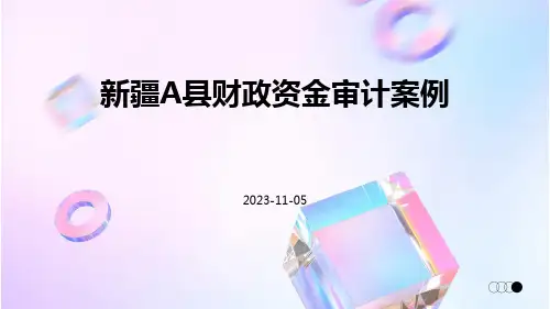 新疆A县财政扶贫资金审计案例