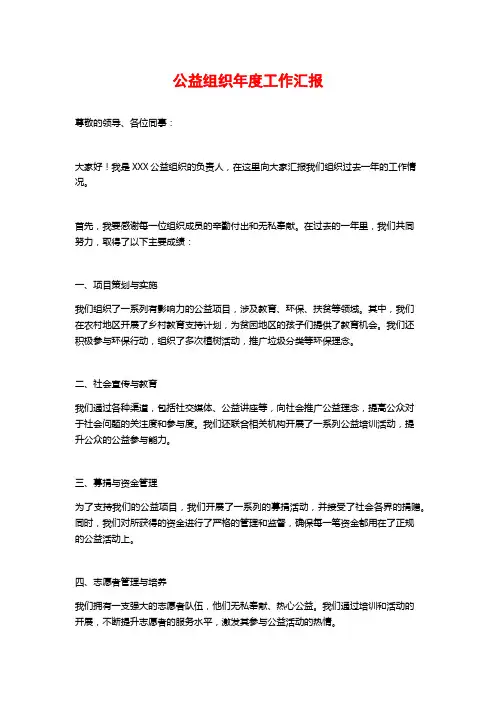 公益组织年度工作汇报