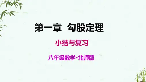 北师大版八年级上册数学《第一章小结与复习》