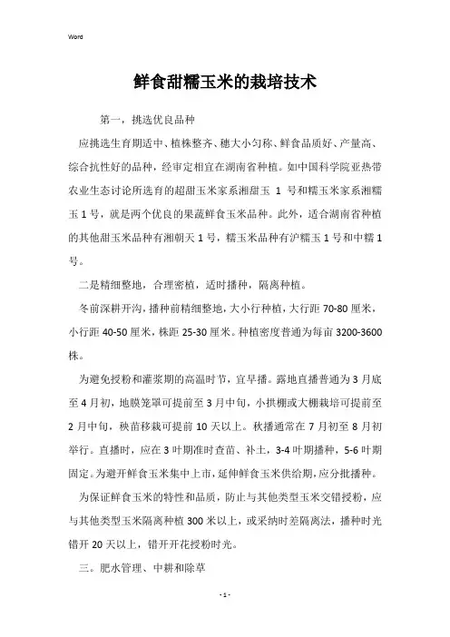 鲜食甜糯玉米的栽培技术