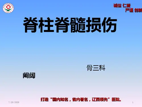 脊柱脊髓损伤PPT课件