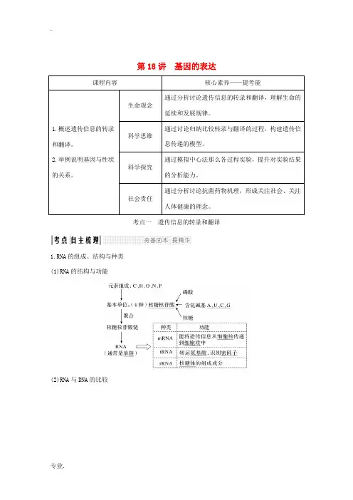 高考生物总复习 第18讲 基因的表达教案-人教版高三全册生物教案