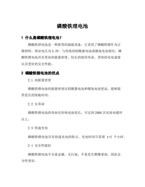 磷酸铁理电池