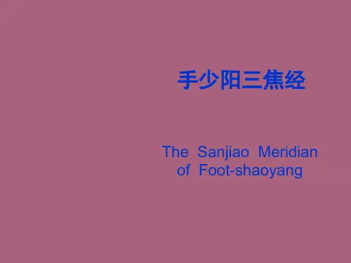 《手少阳三焦经》ppt课件