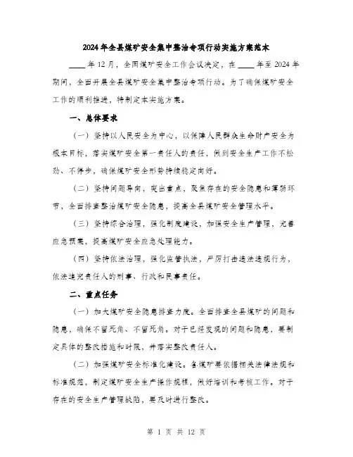 2024年全县煤矿安全集中整治专项行动实施方案范本(3篇)