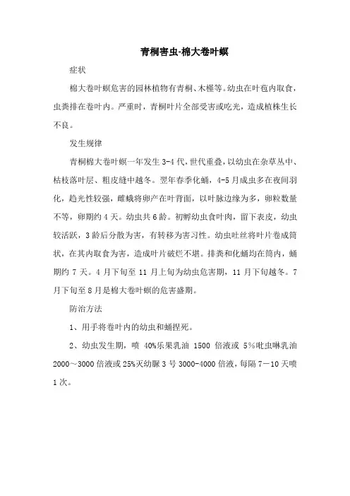 青桐害虫-棉大卷叶螟