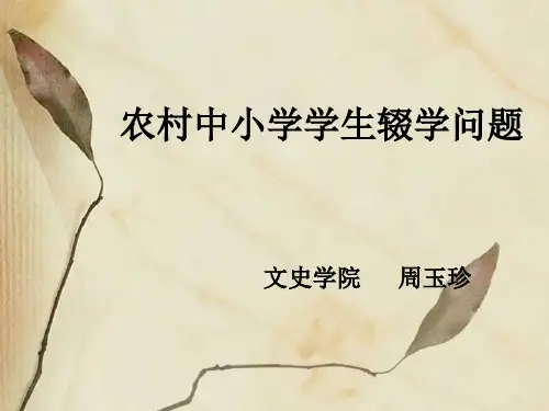 农村儿童辍学问题