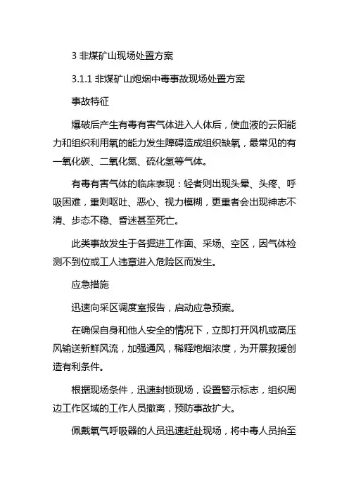非煤矿山炮烟中毒事故现场处置方案