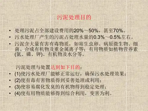 污泥处理与处置