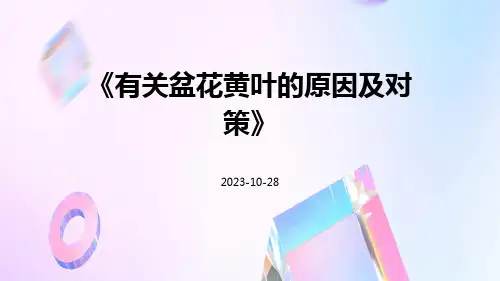 有关盆花黄叶的原因及对策