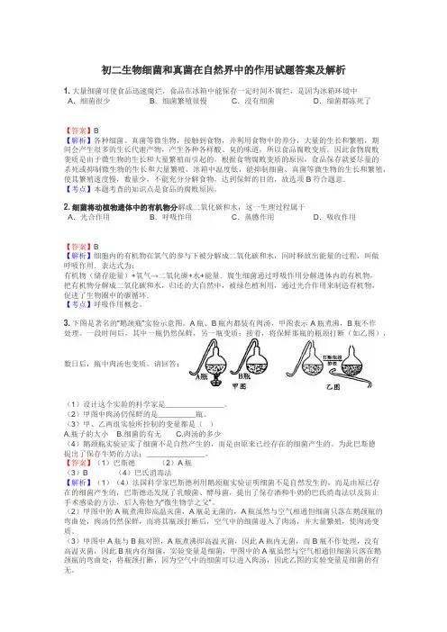 初二生物细菌和真菌在自然界中的作用试题答案及解析
