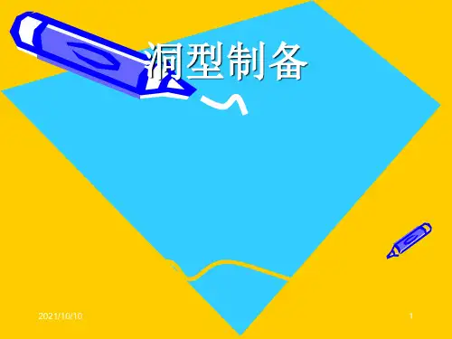 洞型制备_精品文档
