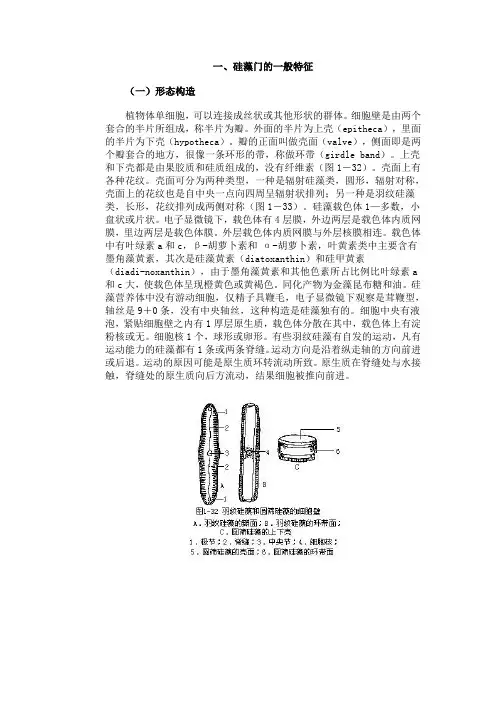 第七节 硅藻门