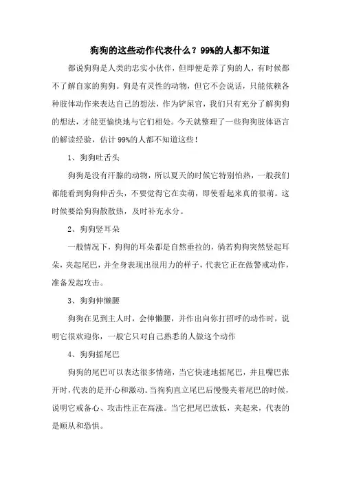 狗狗的这些动作代表什么？99%的人都不知道