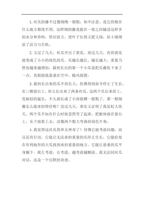 朱自清神奇的丝瓜好词好句