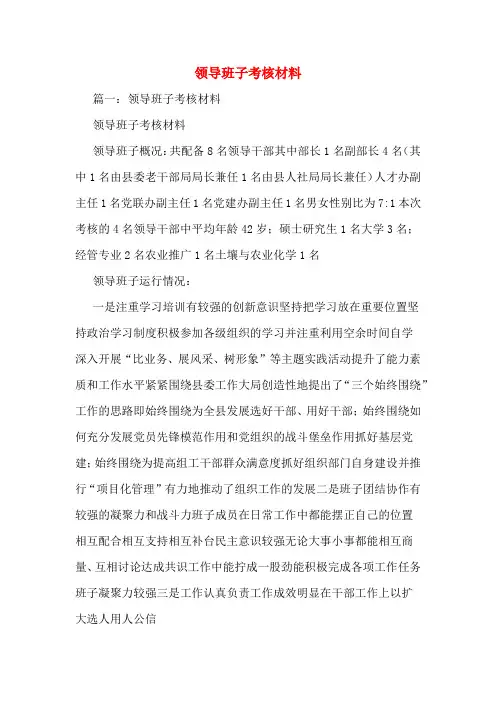 领导班子考核材料
