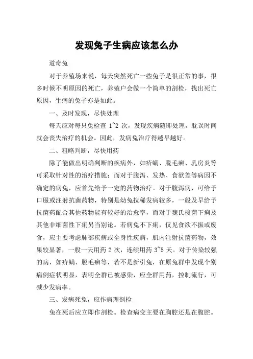 发现兔子生病应该怎么办