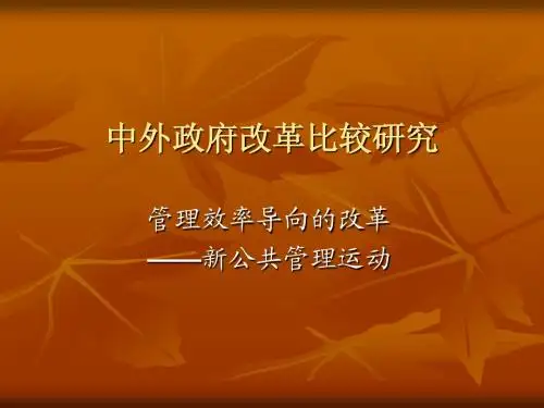 中外政府改革比较：新公共管理