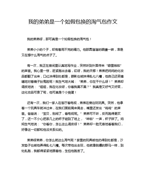 我的弟弟是一个如假包换的淘气包作文