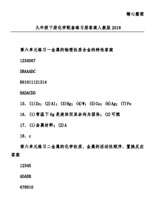 九年级下册化学配套练习册答案人教版2018