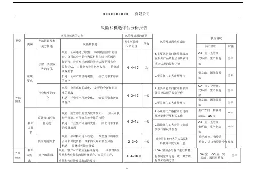 风险和机遇评估分析报告.doc