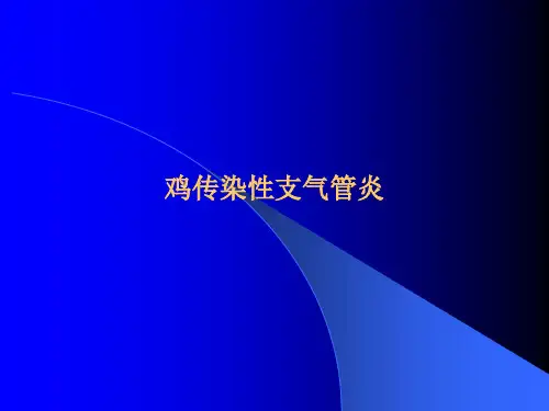 鸡传染性支气管炎
