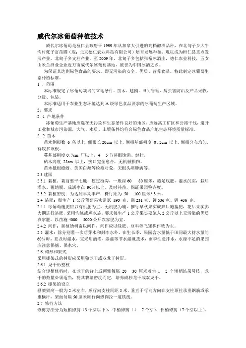威代尔冰葡萄种植技术