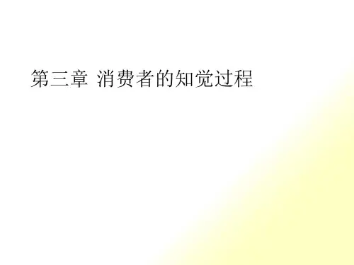 第三章 消费者的知觉过程