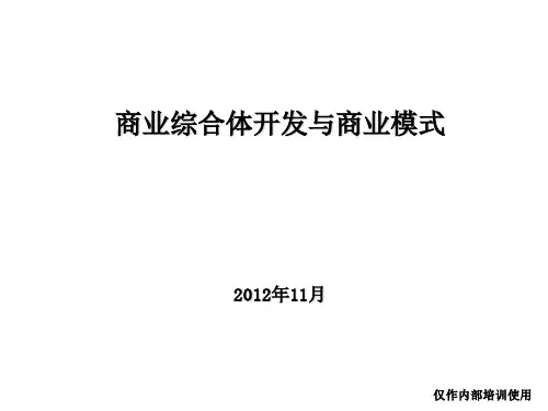 2012年商业综合体开发与商业模式(169页)