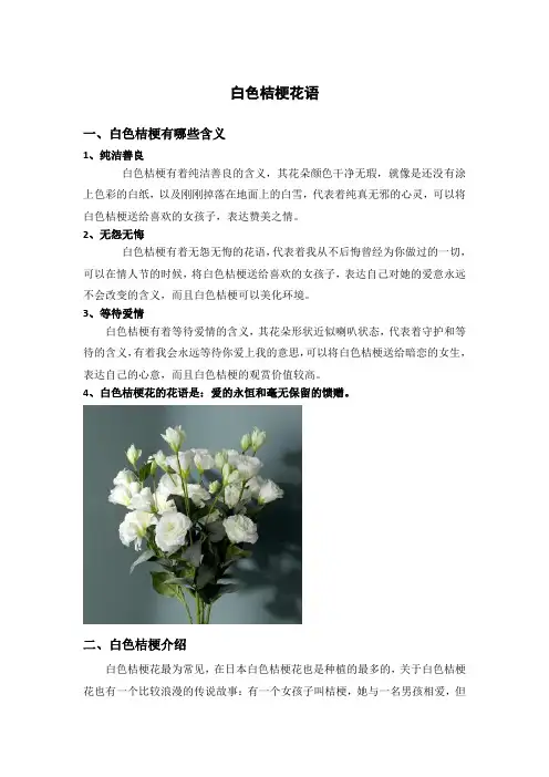 白色桔梗花语