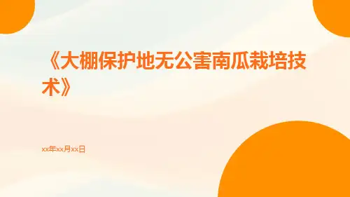 大棚保护地无公害南瓜栽培技术