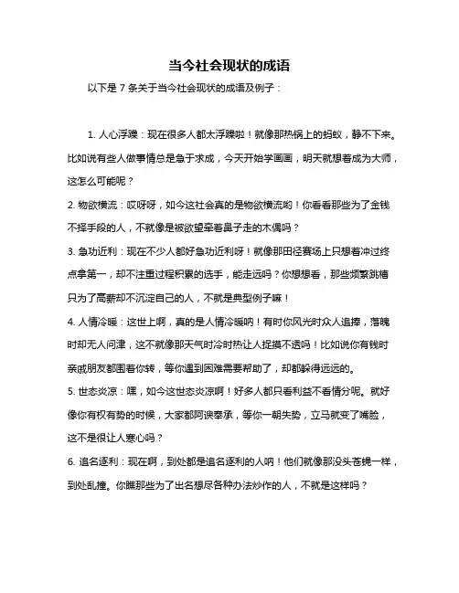 当今社会现状的成语